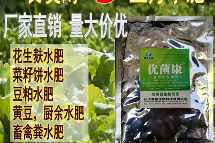 茄子的优良栽培品种主要有哪些？
