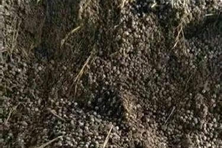 红四方玉米专用复合肥多少钱一吨？