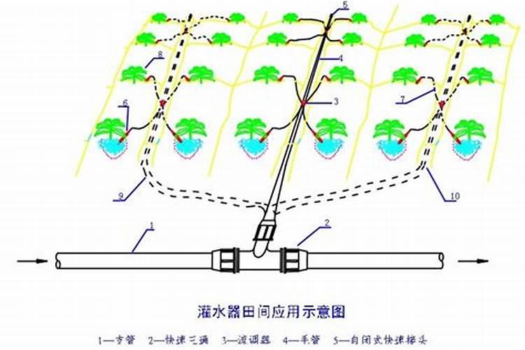 沈阳市中药材批发市场在哪里