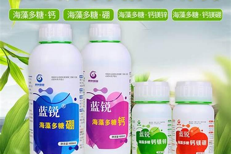 白菜打芸苔素好吃吗？