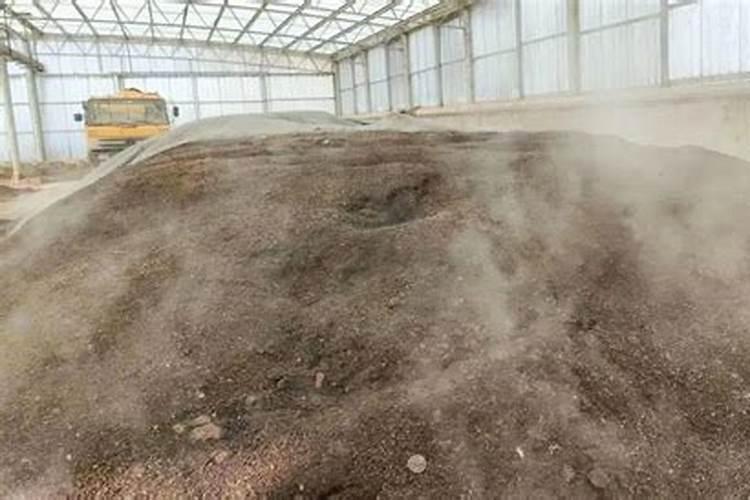 玉米什么时候打叶面肥好 使用方法有哪些