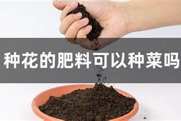 生根粉如何催种子发芽