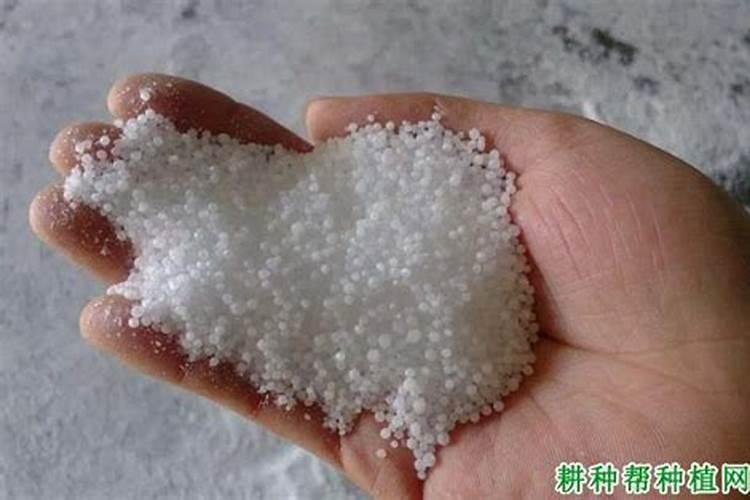尿素和硝酸铵钙哪个肥效期长