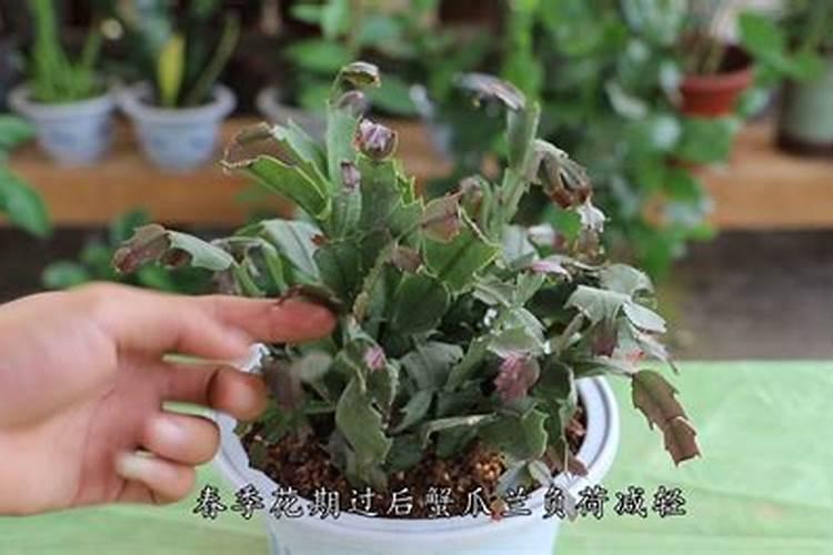 含氮(N)元素的化合物都是氮肥吗