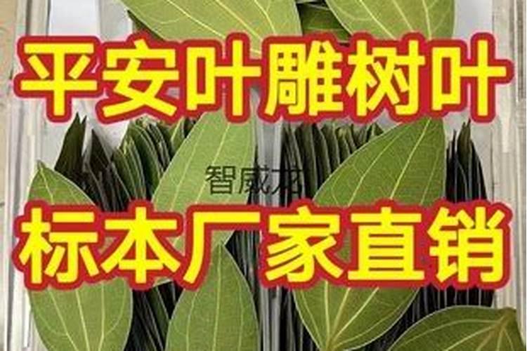 氮、磷、钾三种化肥的区别方法