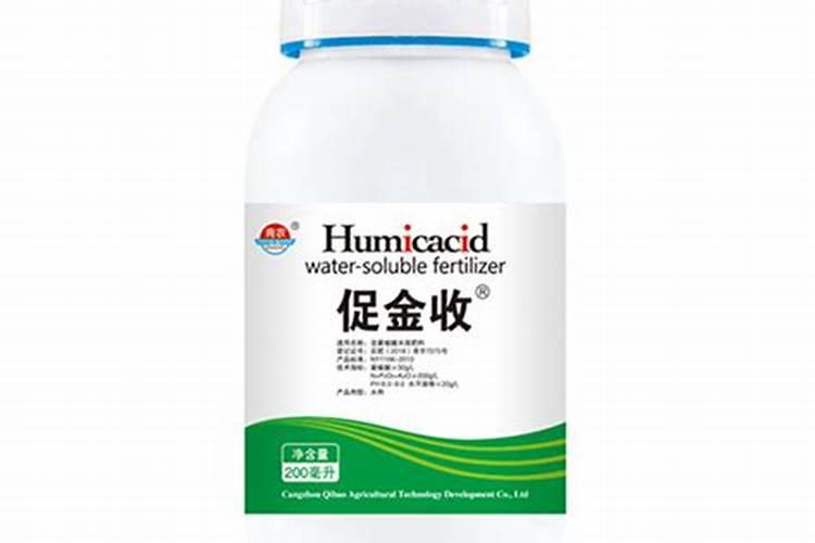 大蒜施肥用什么肥料最好