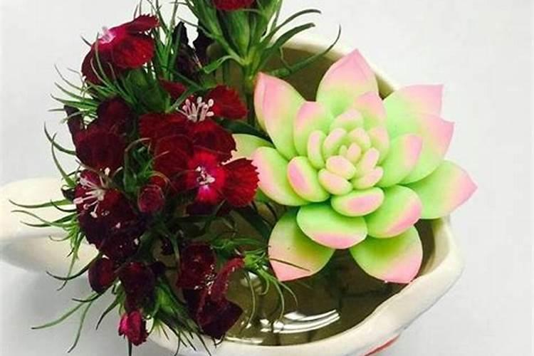 兰花喷施叶面肥有哪些禁忌