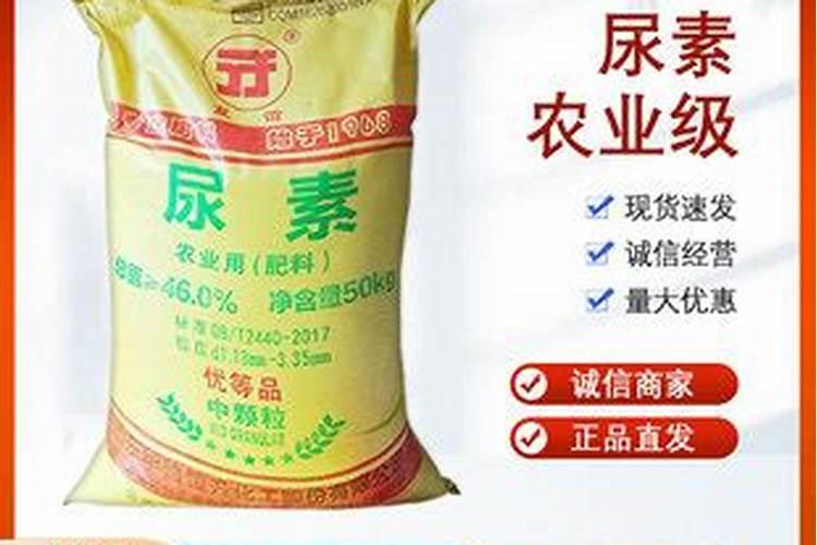 新疆有什么农业银行
