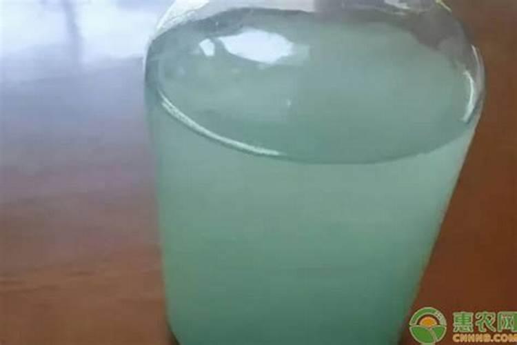 叶面肥有哪些牌子 排行榜都有哪些上榜
