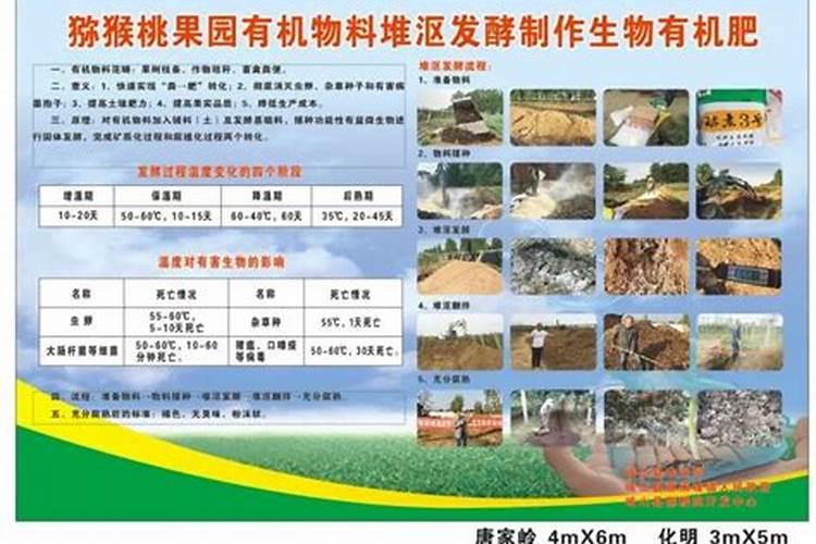 施磷肥是晴天好还是阴雨天好
