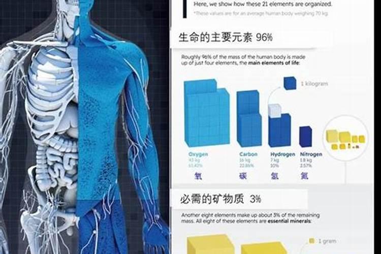 白掌施肥施什么肥料