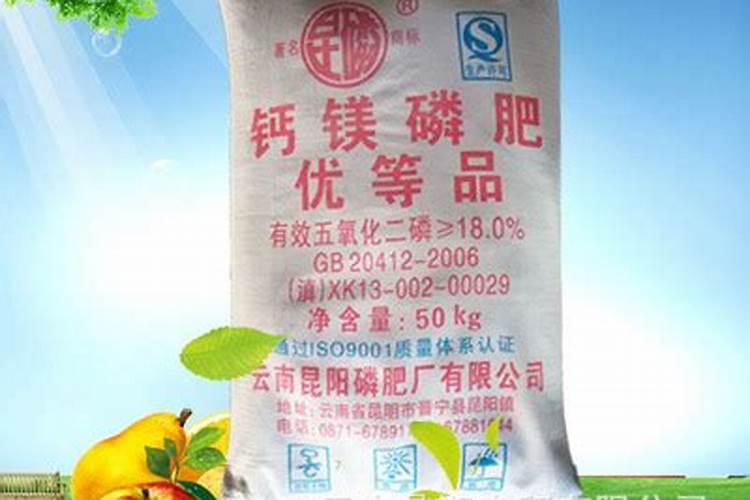 雨水多适合种什么农作物