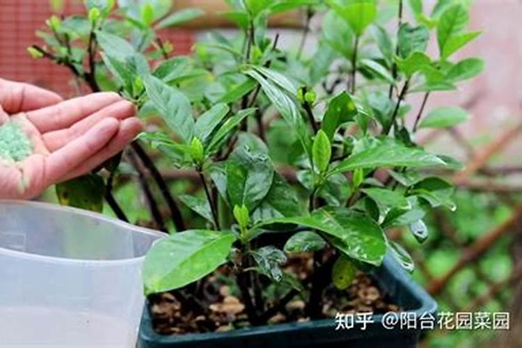 锌肥使用方法