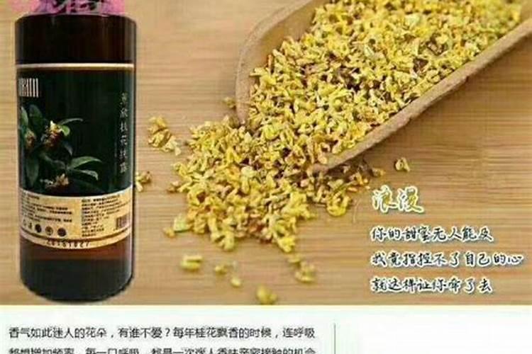 百香果怎么种在楼顶？土要多深？还要什么条件？