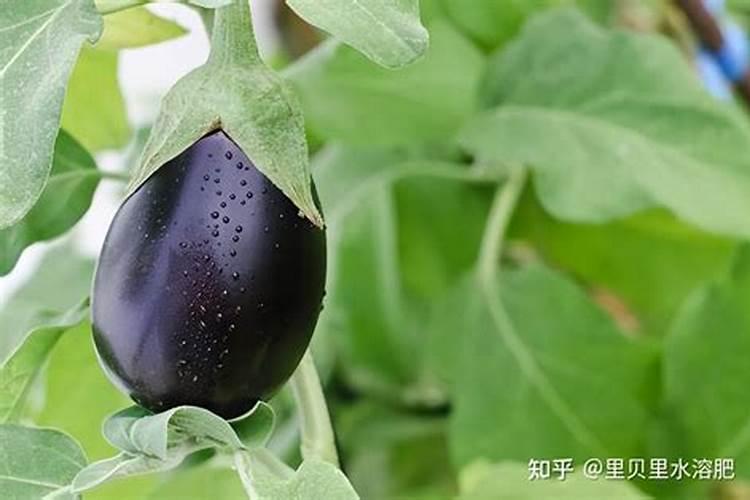 山东德联化工有限公司怎么样？