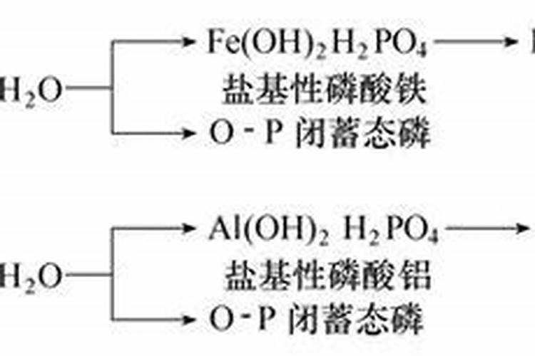 酸性土壤怎么改良