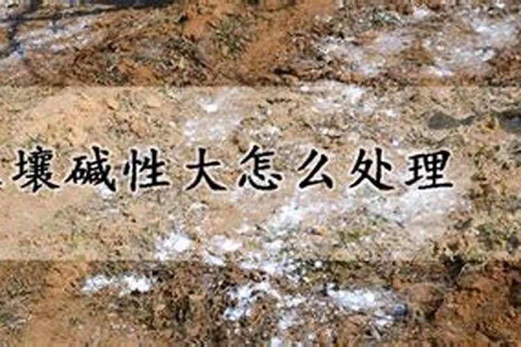 碱性土壤用什么肥料比较好