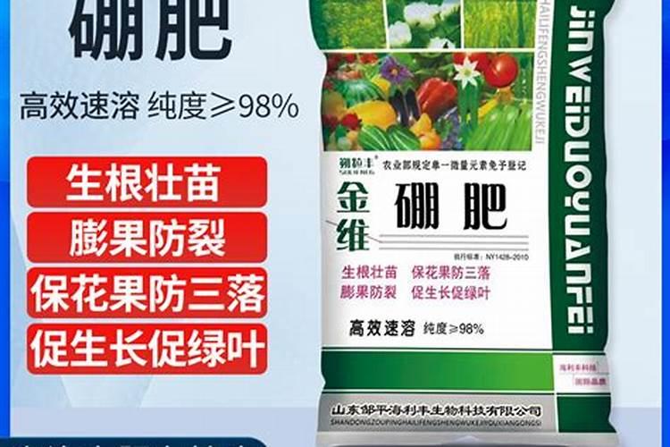 膨果打什么药防裂