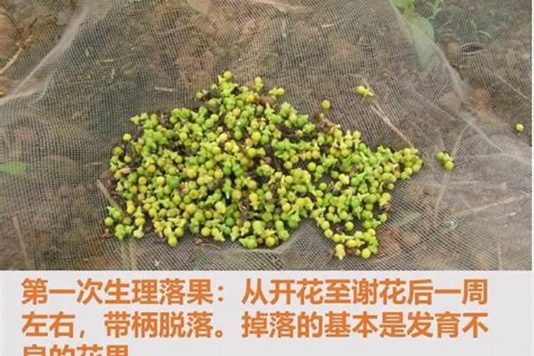 小苏打用热水还是冷水