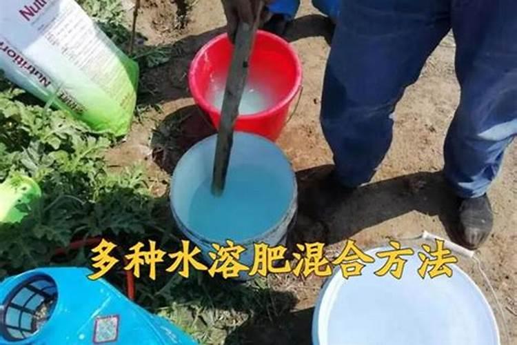 人体肠道益生菌有哪些？如何培养？