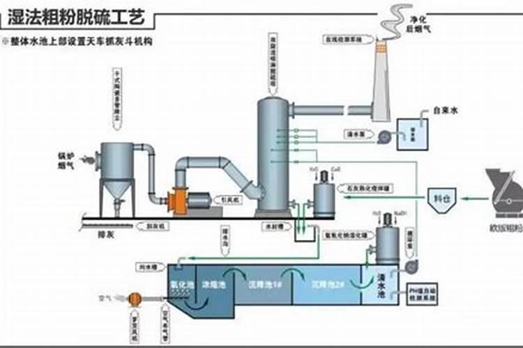 荔枝树叶尖焦枯用什么药