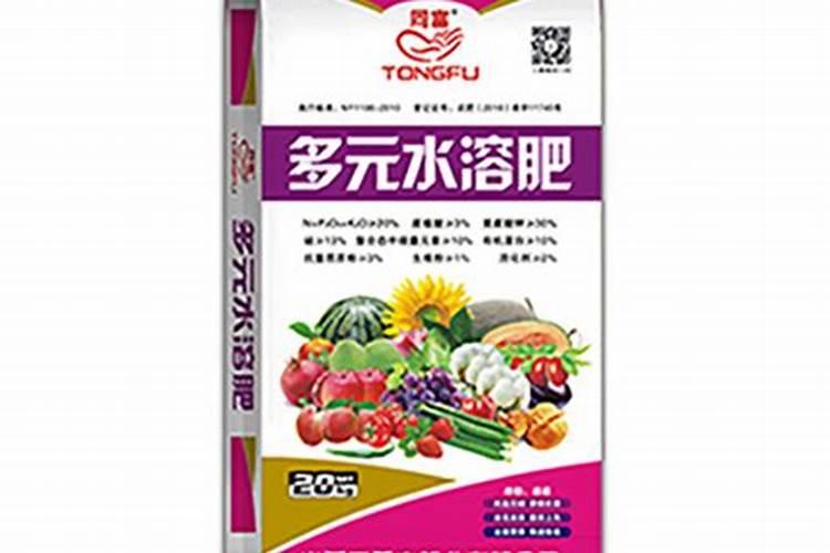 甜叶菊滴什么肥料增加叶子厚度