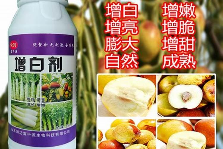 家庭养花自制氮肥有哪些