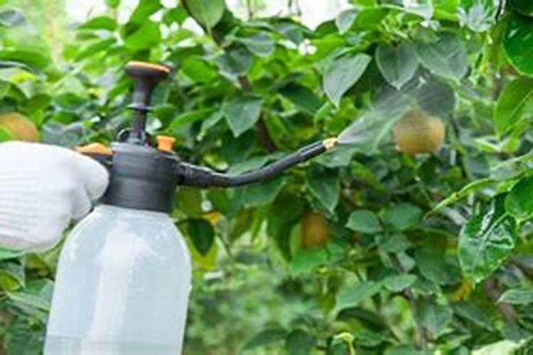 求:水溶肥施用注意事项。急急急!!!