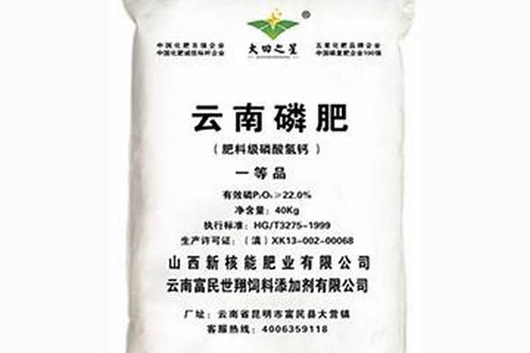 树种多久开始施肥 树木多长时间需要施肥