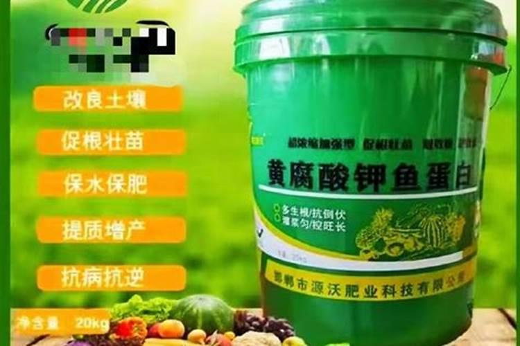 鱼蛋白肥料的功效与作用