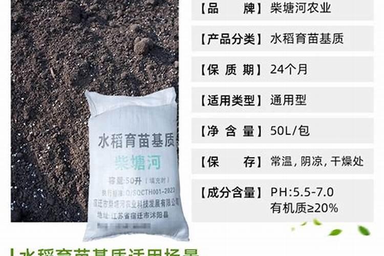 大蒜水浇稻苗对稻苗有影响吗？