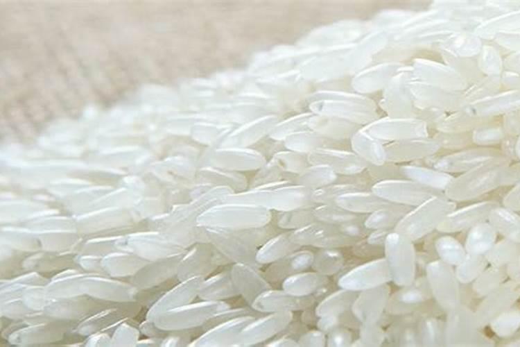 栀子花生根营养液制作,食用白醋促使快速生根
