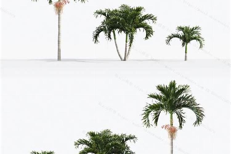 氮肥怎么用对植物好