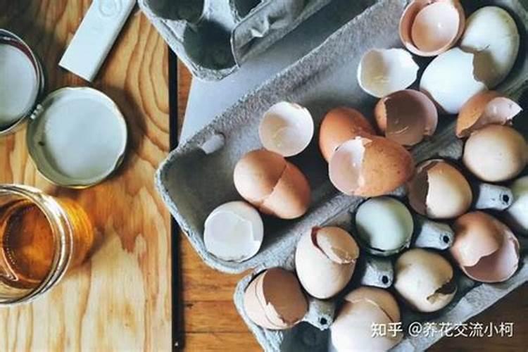 牡丹吊兰施什么肥好