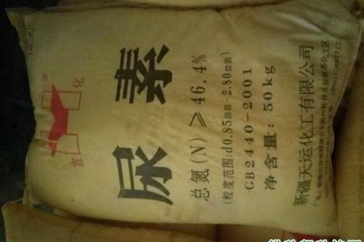 大葱种植时间和方法