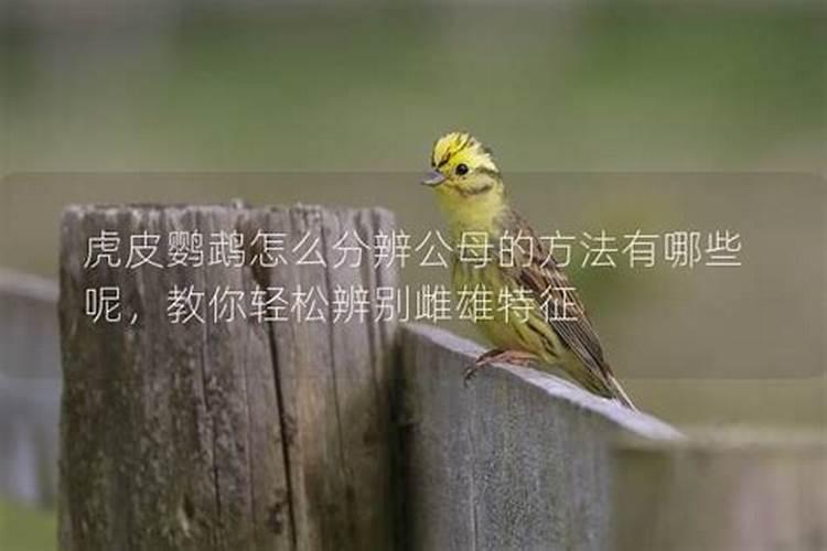 如何区分大量元素、中量元素和微量元素？