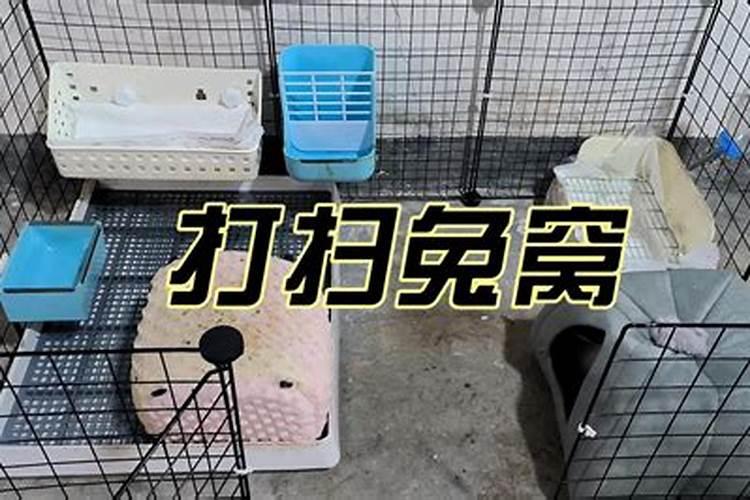 一分钟教你自制氮磷钾肥