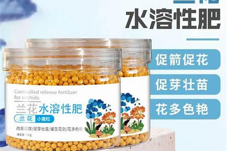 最好的兰花肥专用肥哪种最好