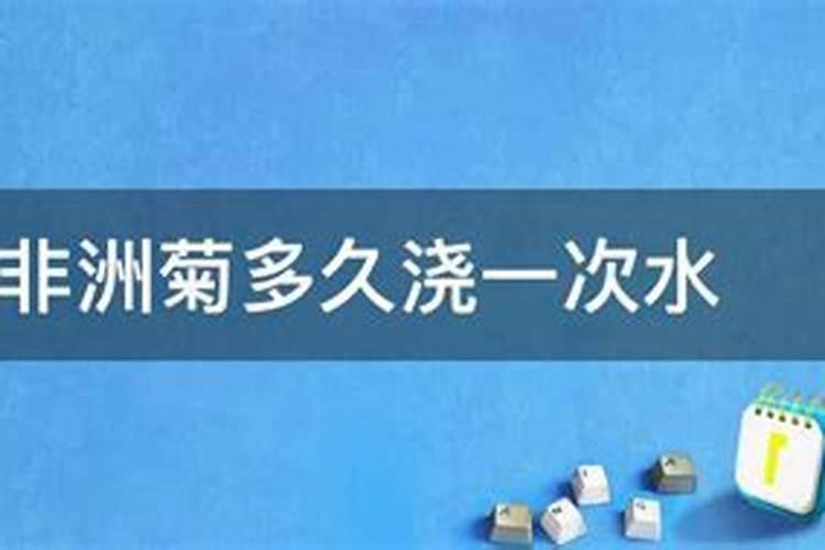 非洲菊不同花期时的管理方法