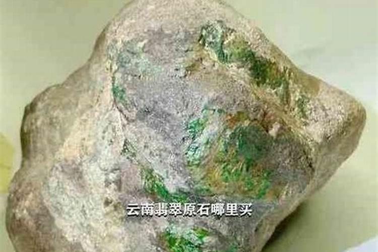 长寿花用什么肥料最好,总共需要三种肥,长势旺盛开花多