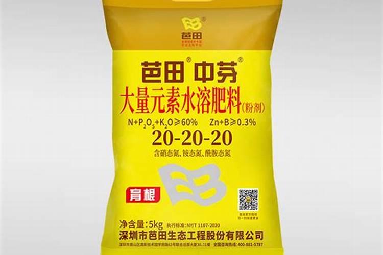 豆角浇水的正确方法 浇水时需要注意什么