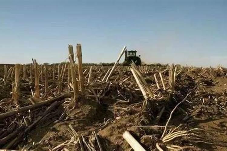 玉米田用0.04%的芸苔素脱水多少能打多少亩地？