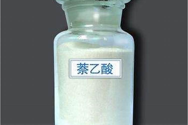 “脐腐病”危害大,辣椒、番茄都怕它,补钙真的有用吗？