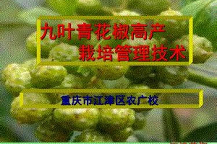 水产降亚硝酸盐最快的方法