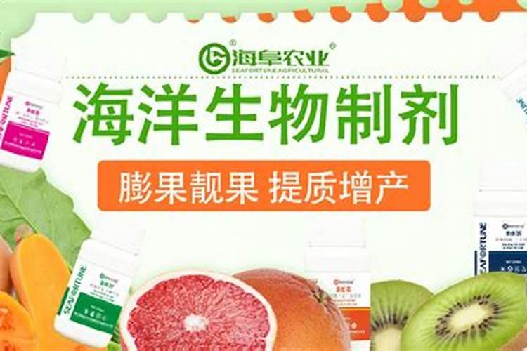 连翘秋天怎么养