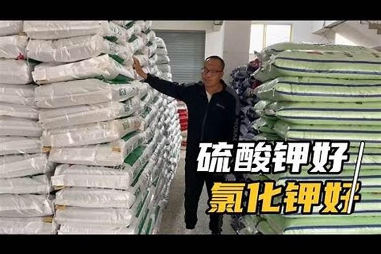 大蒜的田间管理及施肥方法