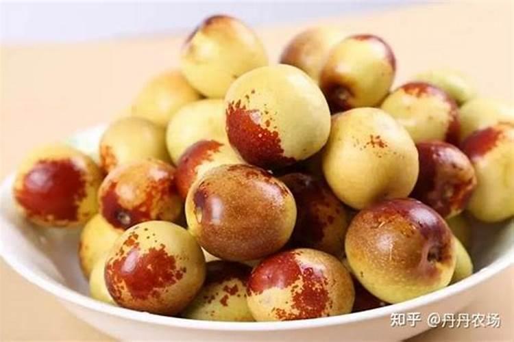 冬枣如何膨大