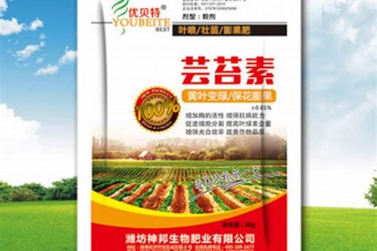 爱丰收是不是大厂家生产的高端药