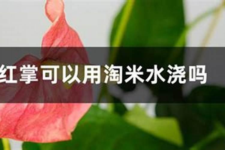 沼气液怎么利用