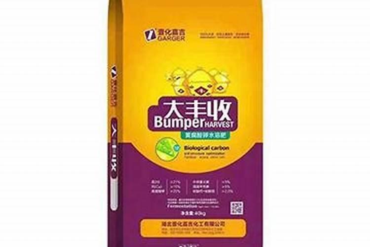 菊花施肥在什么季节